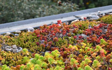 the cost of Diseworth green roof installation